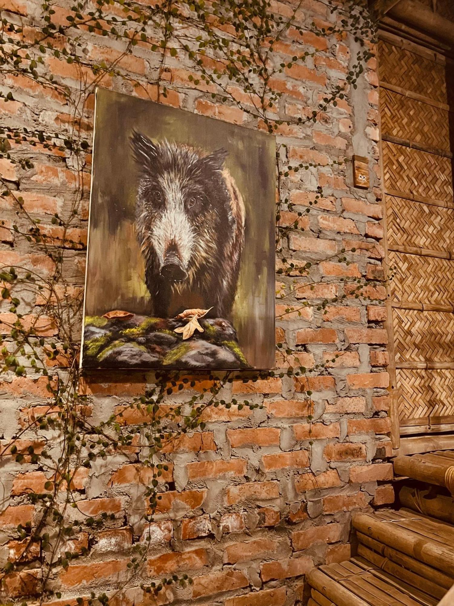 Dinh Gia Trang - Homestay & Coffee The Ruong Extérieur photo