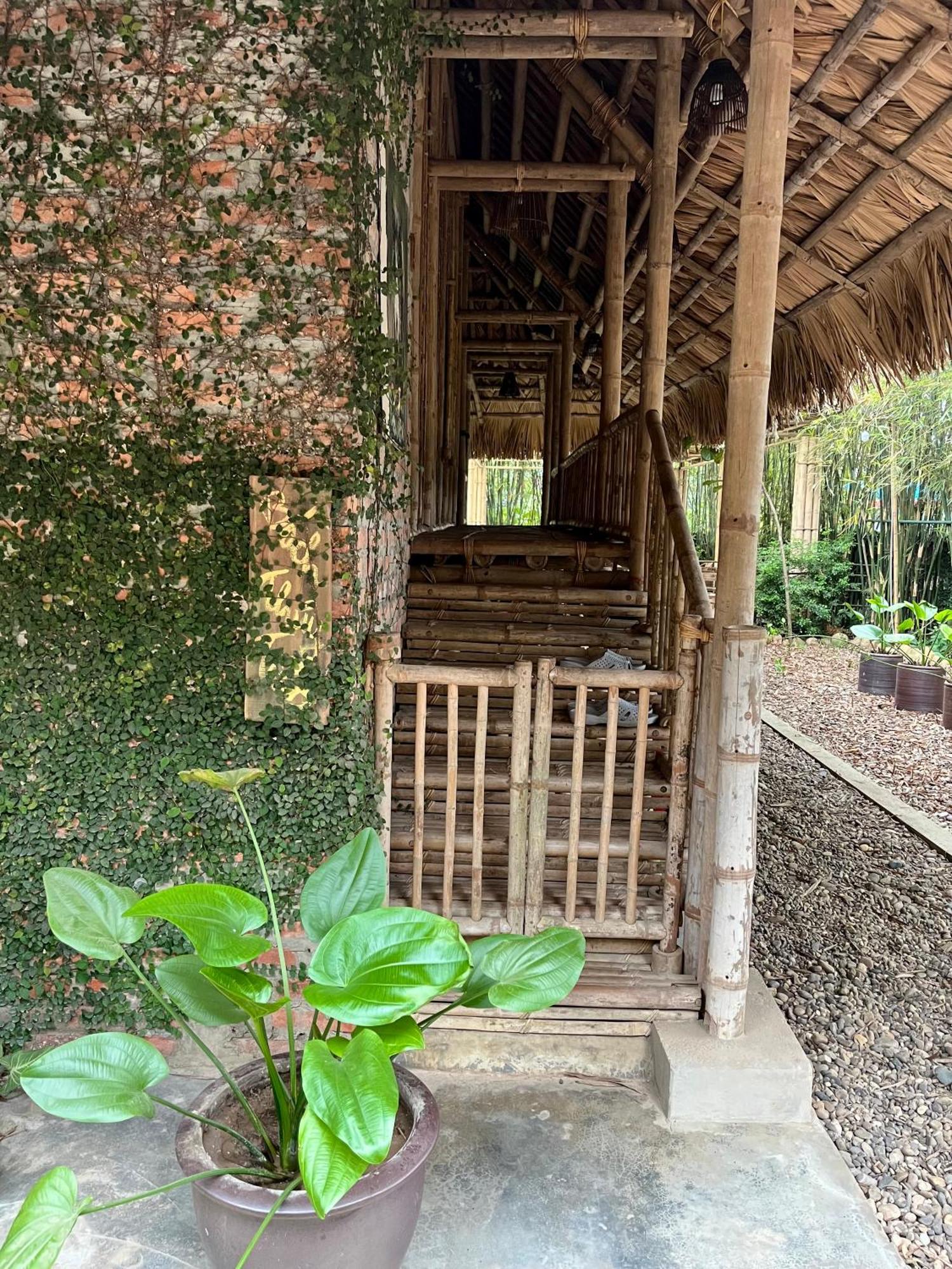 Dinh Gia Trang - Homestay & Coffee The Ruong Extérieur photo