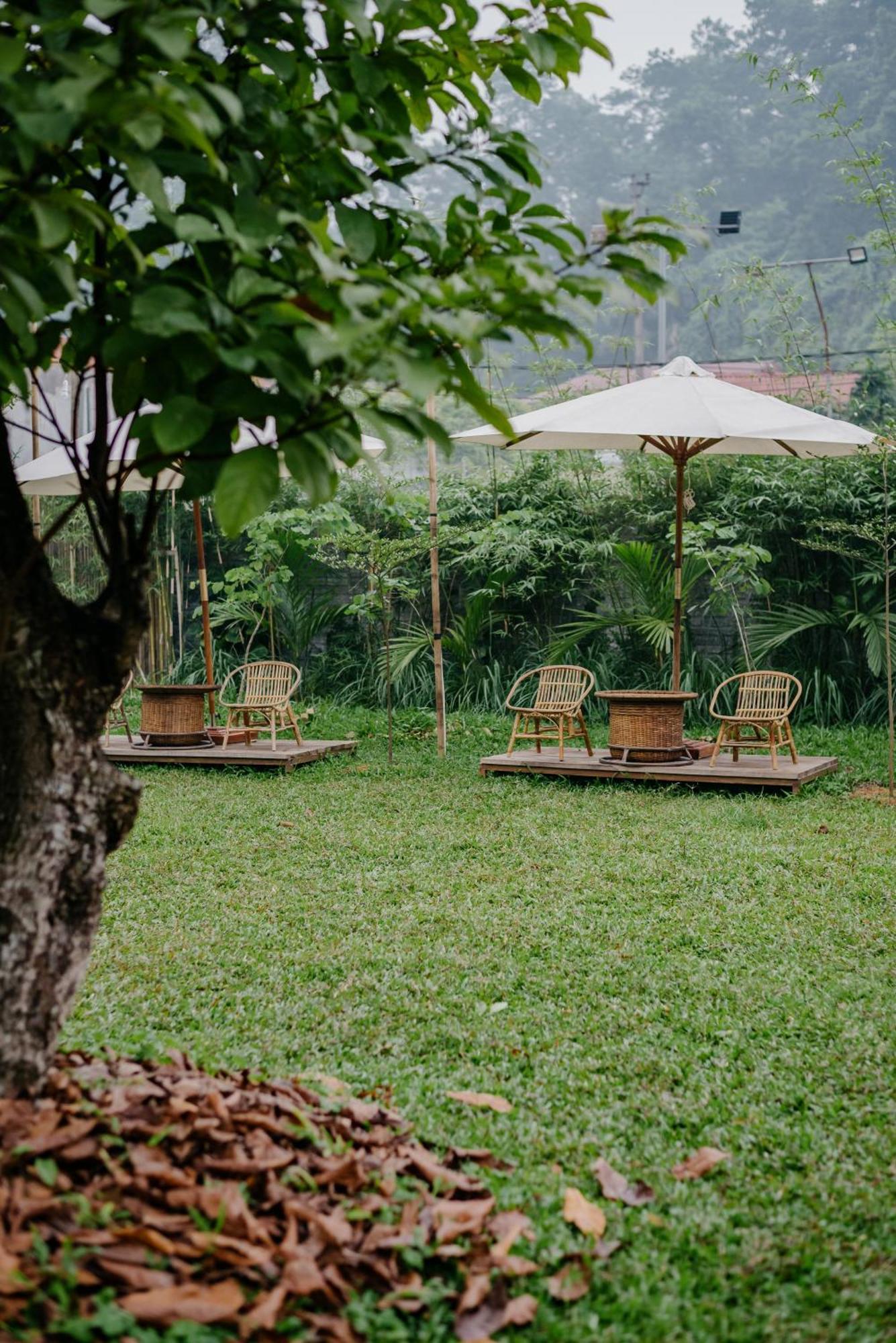 Dinh Gia Trang - Homestay & Coffee The Ruong Extérieur photo